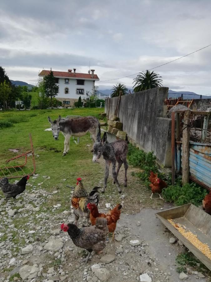 Agroturismo Pagoederraga Orio Exterior photo